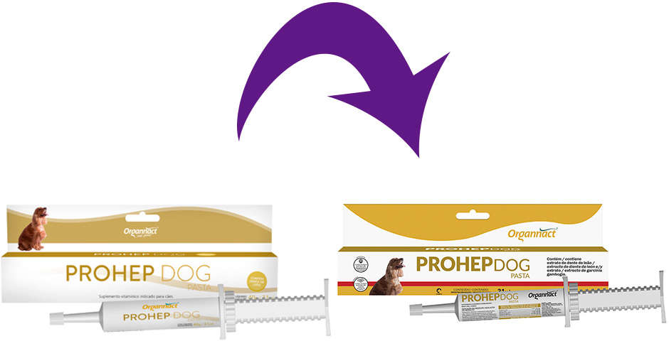 Suplemento Vitamínico Organnact Prohep Dog Pasta para Cães - 31 mL
