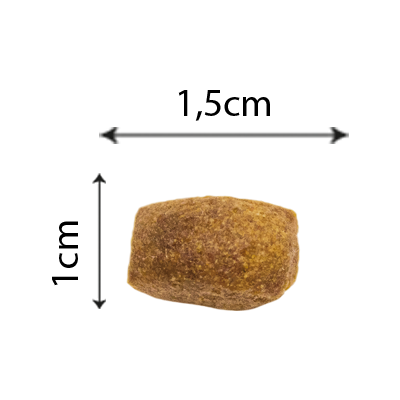 Ração Seca Zuppy Frango e Arroz para Cães Filhotes de Porte Médio e Grande