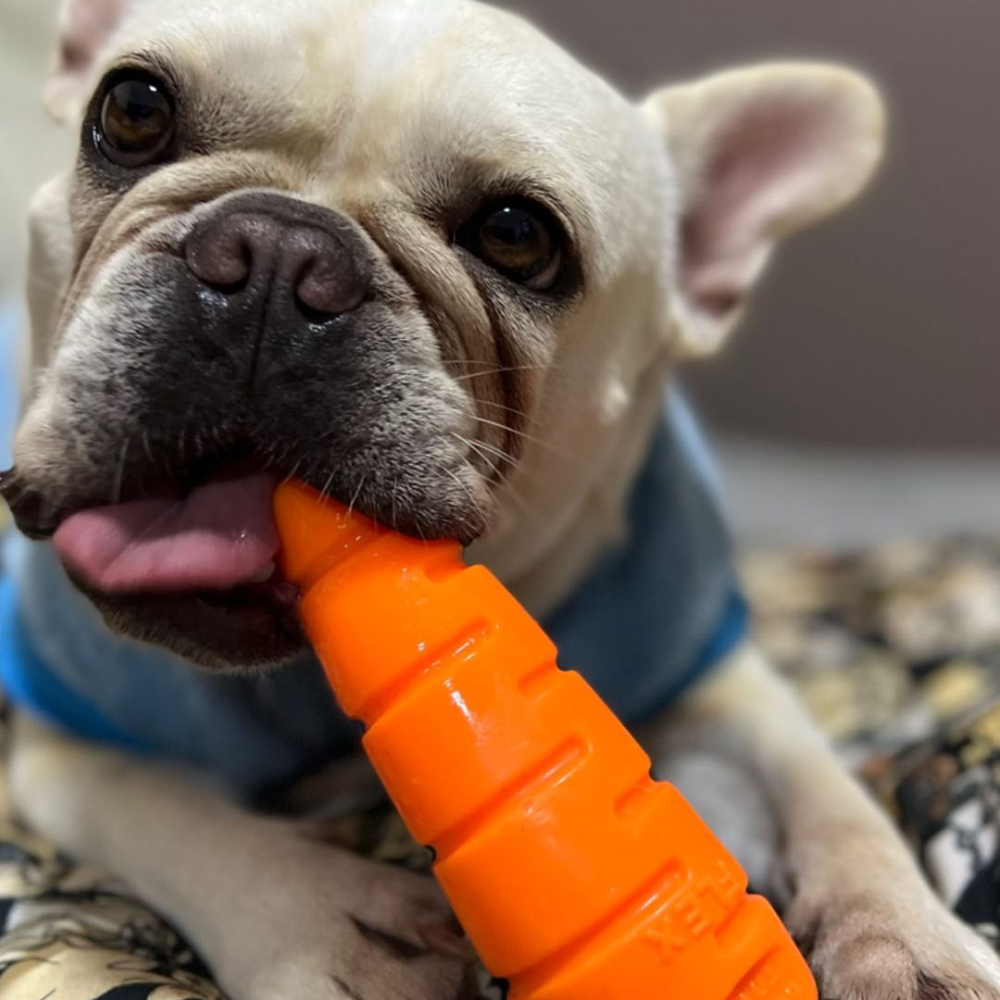 Brinquedo Cenourão Flex para Cães - Tam. Único