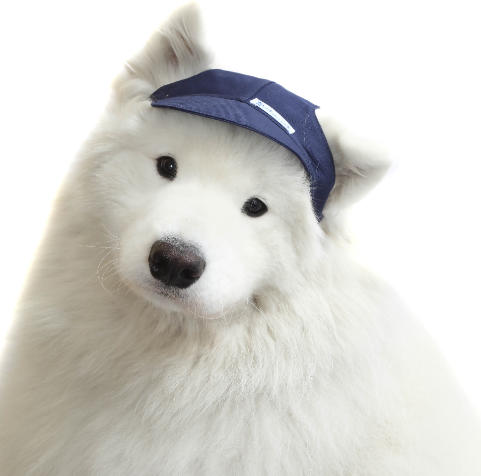Boné Bichinho Chic Esportivo Azul Marinho - Tam. GG