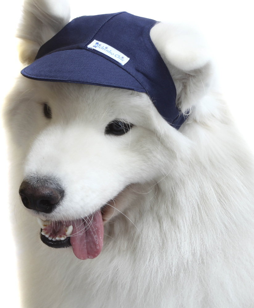 Boné Bichinho Chic Esportivo Azul Marinho - Tam. GG