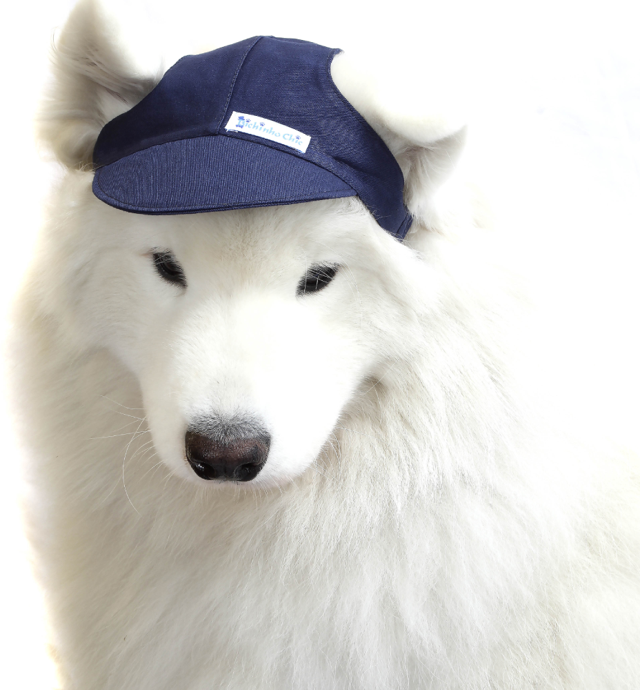 Boné Bichinho Chic Esportivo Azul Marinho - Tam. GG