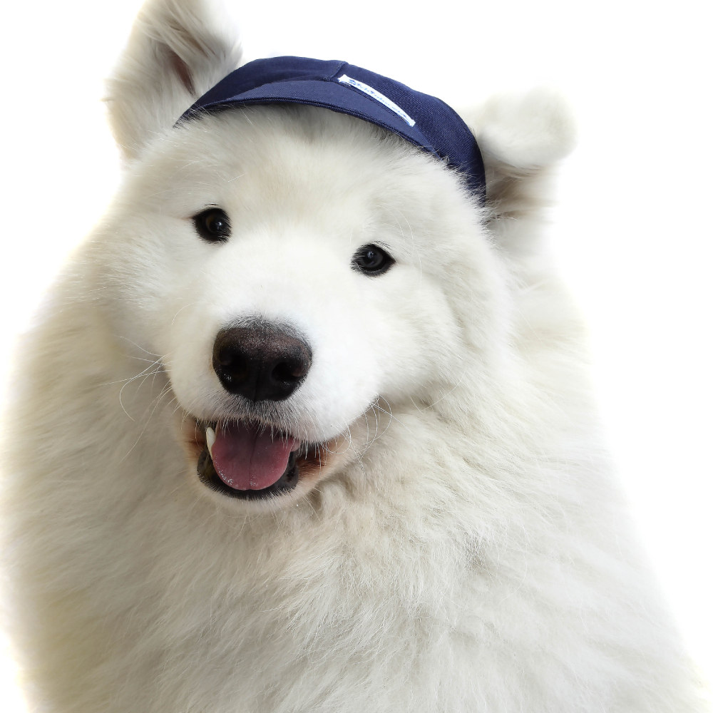 Boné Bichinho Chic Esportivo Azul Marinho - Tam. GG