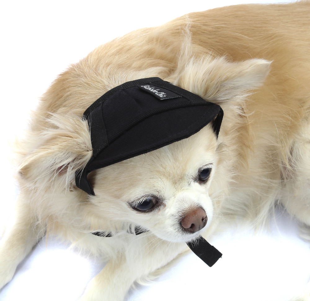 Boné Bichinho Chic com Viseira Preto - Tam. GG