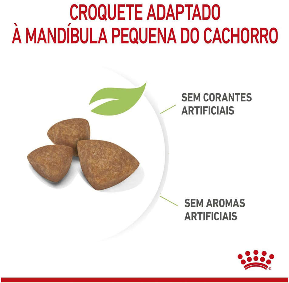 Ração Royal Canin X-Small Junior para Cães Filhotes - 1Kg