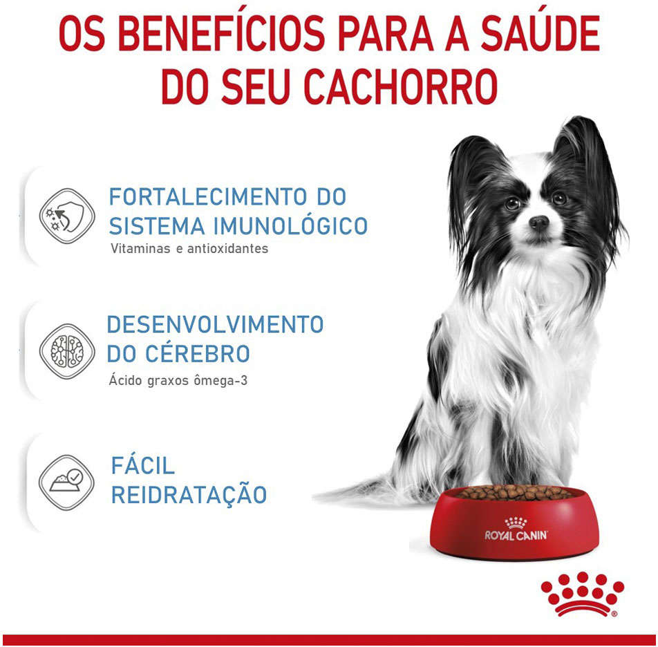 Ração Royal Canin X-Small Junior para Cães Filhotes - 1Kg