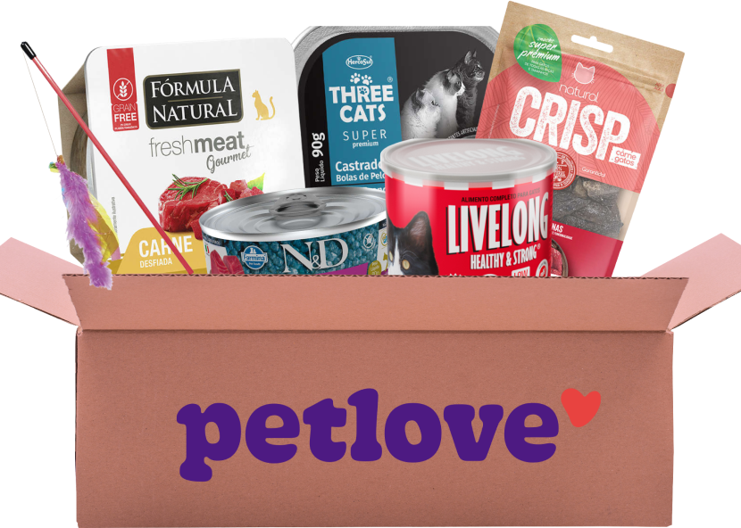 Kit Gato Natural - KIT