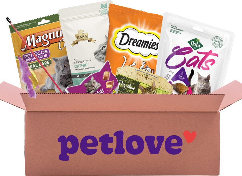 Kit Gato Premium - KIT