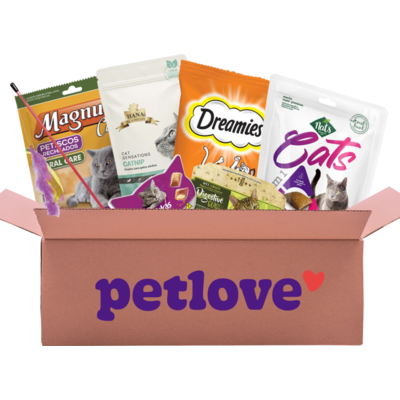 Kit Gato Premium - KIT