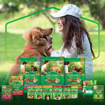 Ração Seca Nestlé Purina Dog Chow Extra Life Cães Adultos Carne, Frango e Arroz Raças Mini e Pequenas