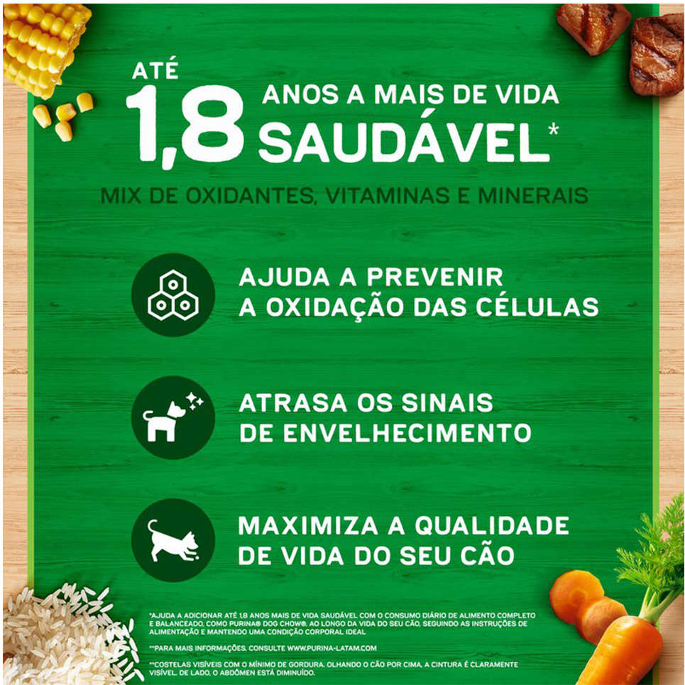 Ração Seca Nestlé Purina Dog Chow Extra Life Carne, Frango e Arroz Cães Adultos Raças Minis e Pequenas - 15Kg