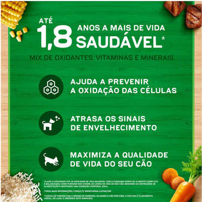 Ração Seca Nestlé Purina Dog Chow Extra Life Cães Adultos Carne, Frango e Arroz Raças Mini e Pequenas
