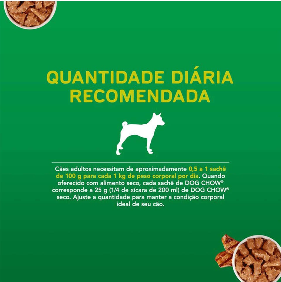 Ração Úmida Nestlé Purina Dog Chow Sachê Carne para Cães Adultos - 100 g