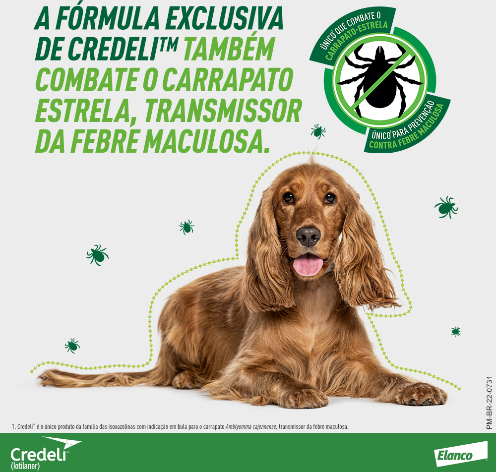 Antipulgas e Carrapatos Credeli 900 mg para Cães de 22 a 45Kg - 1 Comprimido