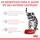 Ração Royal Canin Feline Health Nutrition Kitten Sterilised para Gatos Filhotes Castrados de 6 a 12 meses
