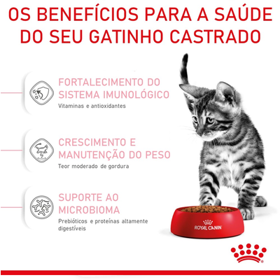 Ração Royal Canin Feline Health Nutrition Kitten Sterilised para Gatos Filhotes Castrados de 6 a 12 meses