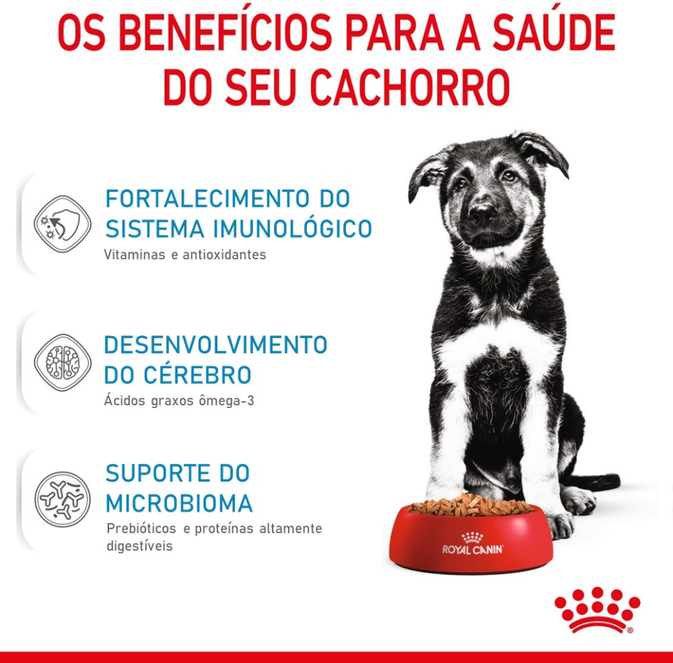 Ração Royal Canin Maxi Puppy para Cães Filhotes de Raças Grandes de 2 a 15 Meses de Idade - 4Kg