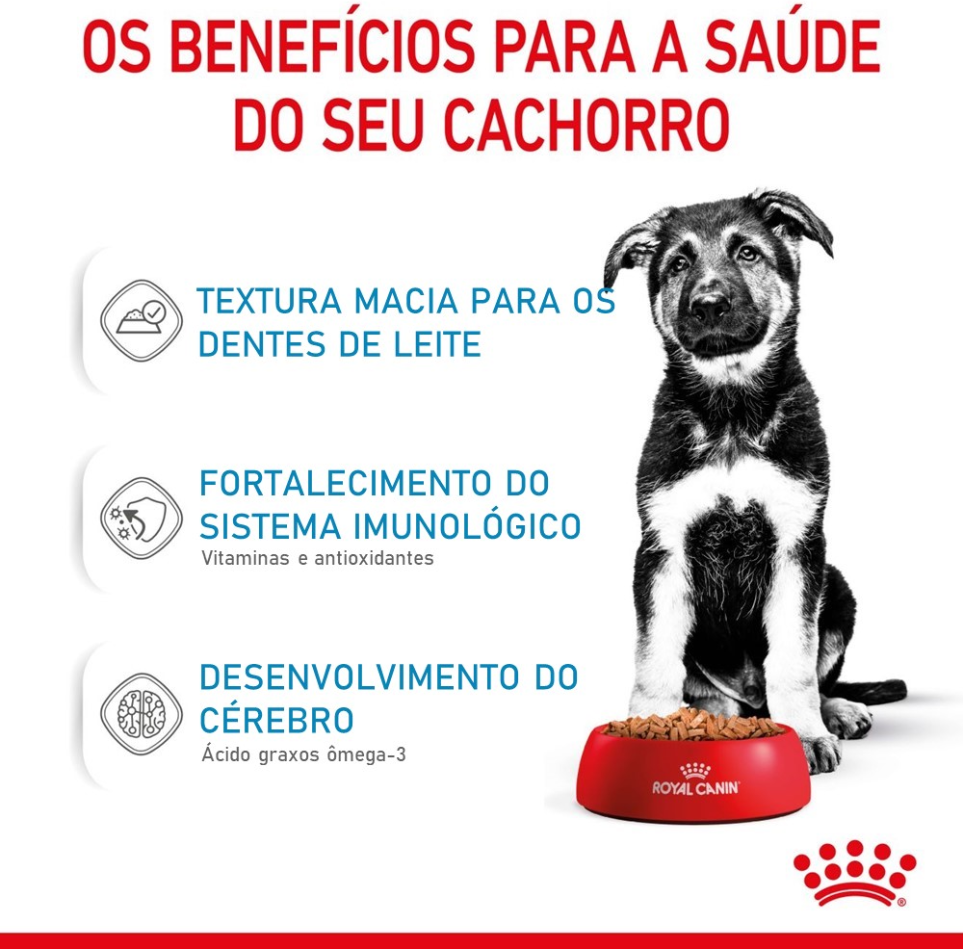 Ração Úmida Royal Canin Sachê Size Health Nutrition Puppy Wet para Cães Filhotes Raças Grandes - 140 g