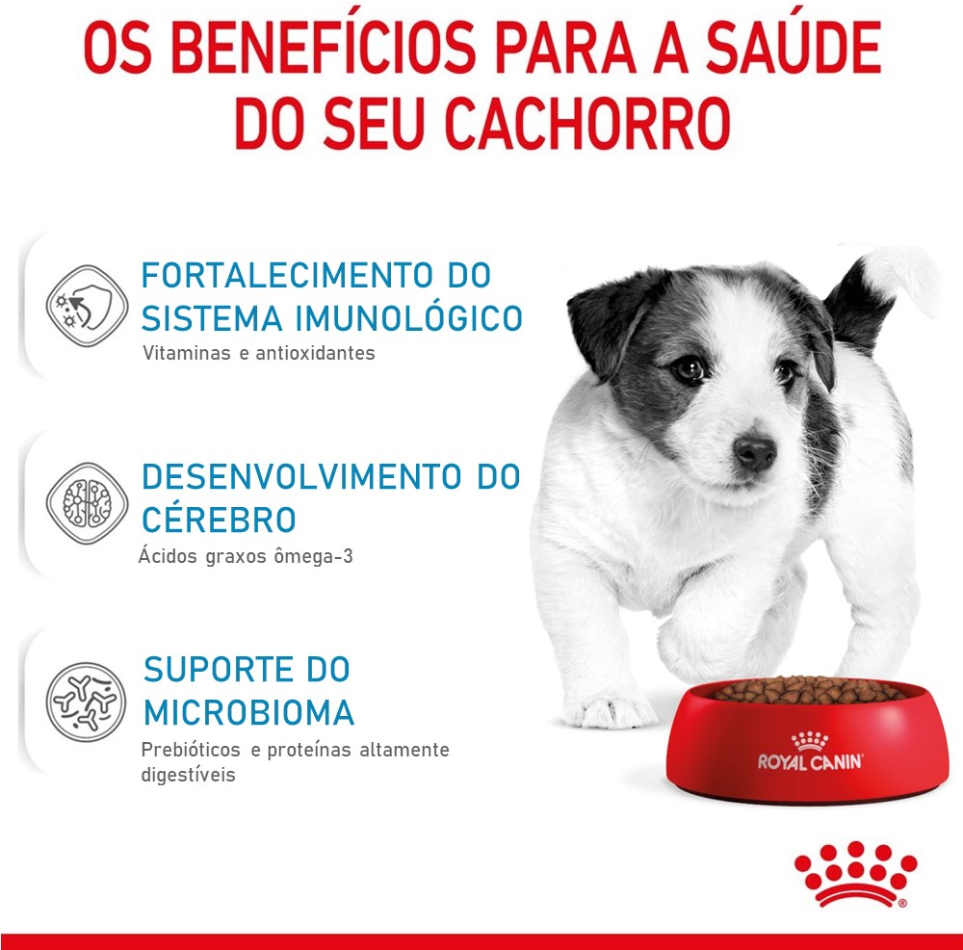 Ração Royal Canin Mini Junior para Cães de Raças Pequenas Filhotes de 2 a 10 Meses de Idade - 7,5Kg