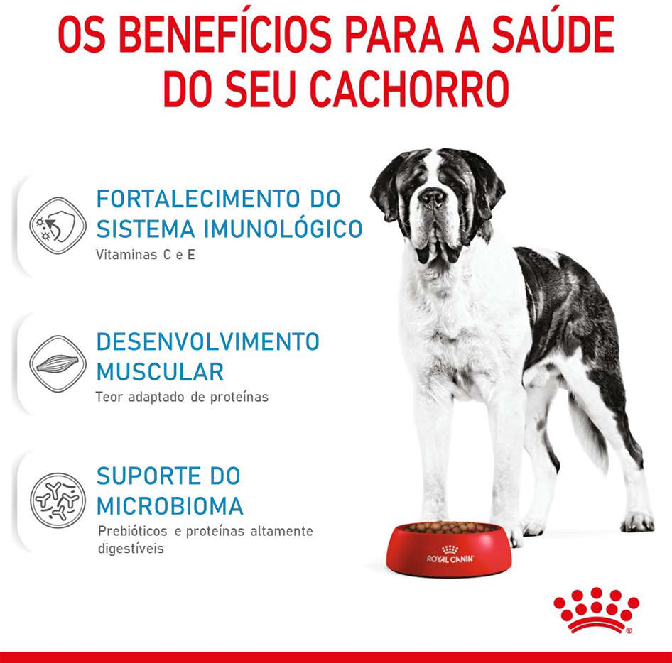 Ração Royal Canin Giant Junior para Filhotes de Cães Gigantes de 8 a 18/24 Meses de Idade - 12Kg