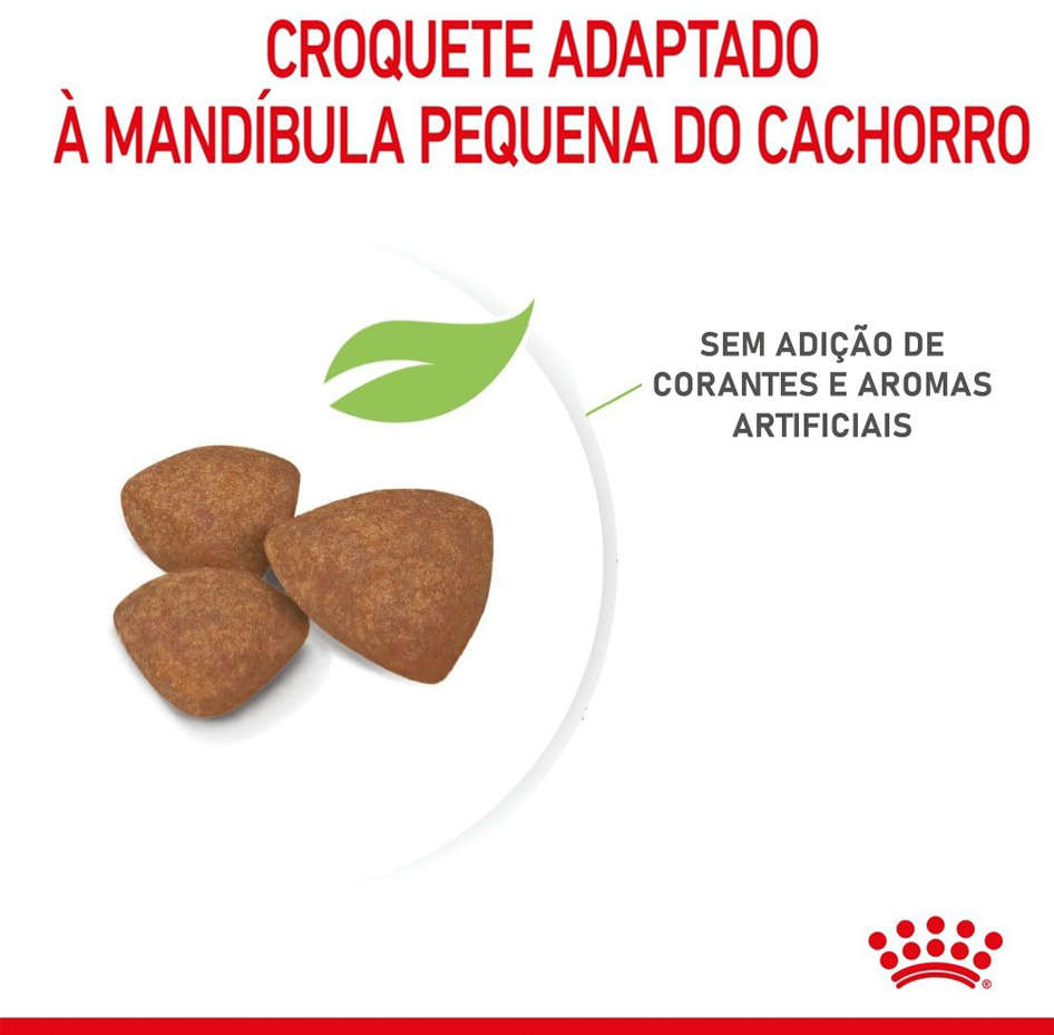 Ração Royal Canin Mini Indoor Junior Cães Filhotes - 2,5Kg