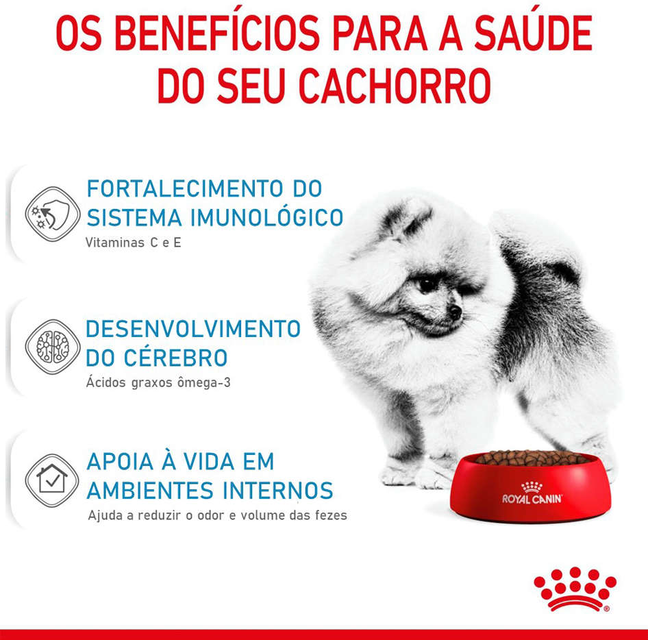 Ração Royal Canin Mini Indoor Junior Cães Filhotes - 2,5Kg