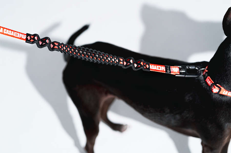 Guia com Amortecedor Future Pet La Casa de Papel Vermelha para Cães - Tam. P
