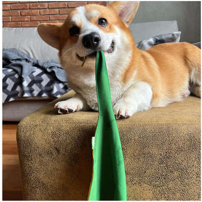 Bandana ModernPet Seleção Brasileira Amarela para Cães