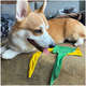 Bandana ModernPet Seleção Brasileira Amarela para Cães