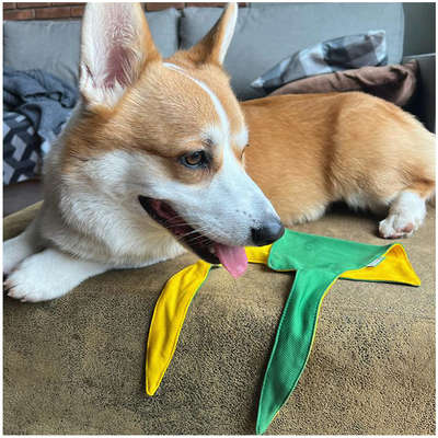 Bandana ModernPet Seleção Brasileira Amarela para Cães