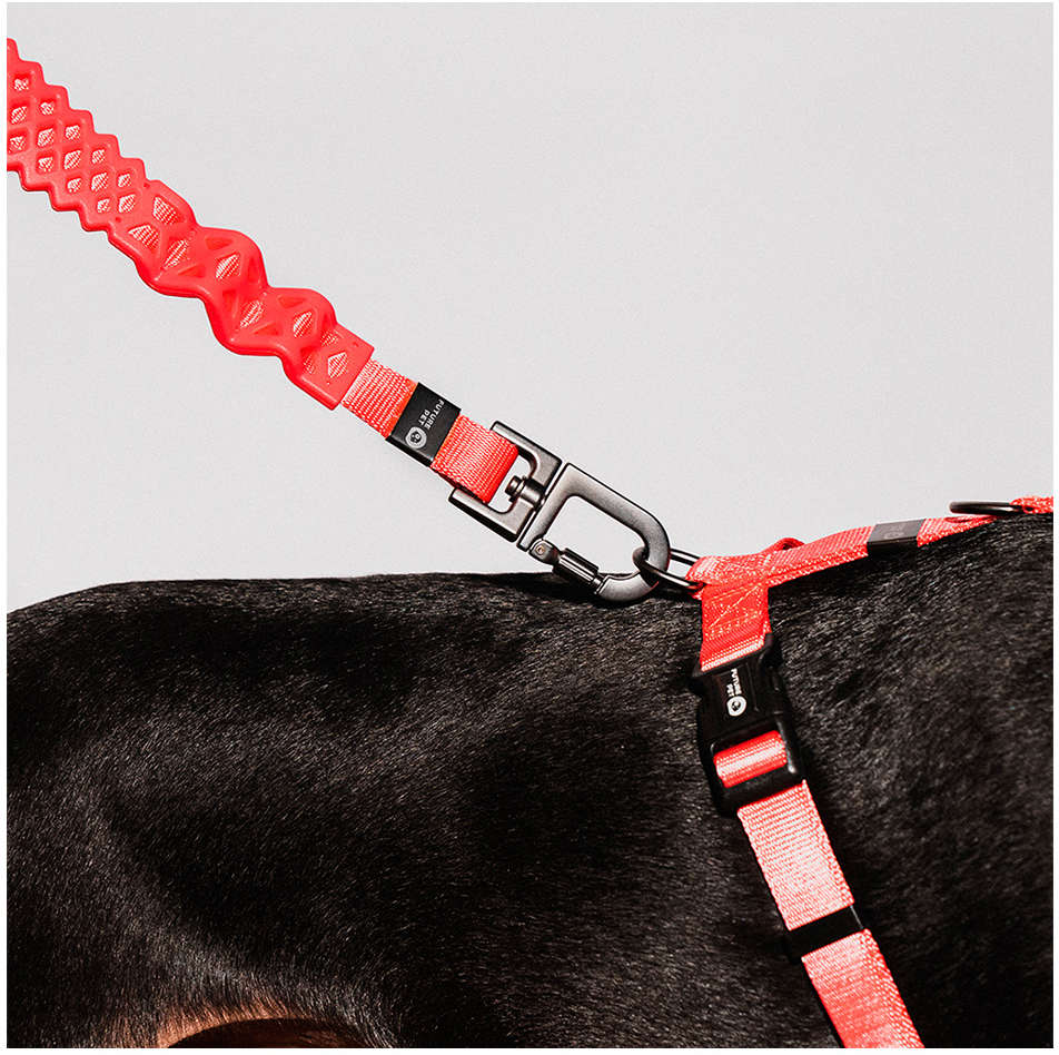 Guia com Amortecedor Future Pet Coral para Cães - Tam. G