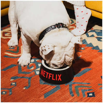 Comedouro Future Pet Logo Netflix