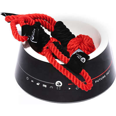 Brinquedo de Corda Future Pet Netflix para Cães