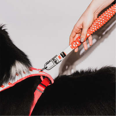 Guia com Amortecedor Future Pet Netflix Branca para Cães