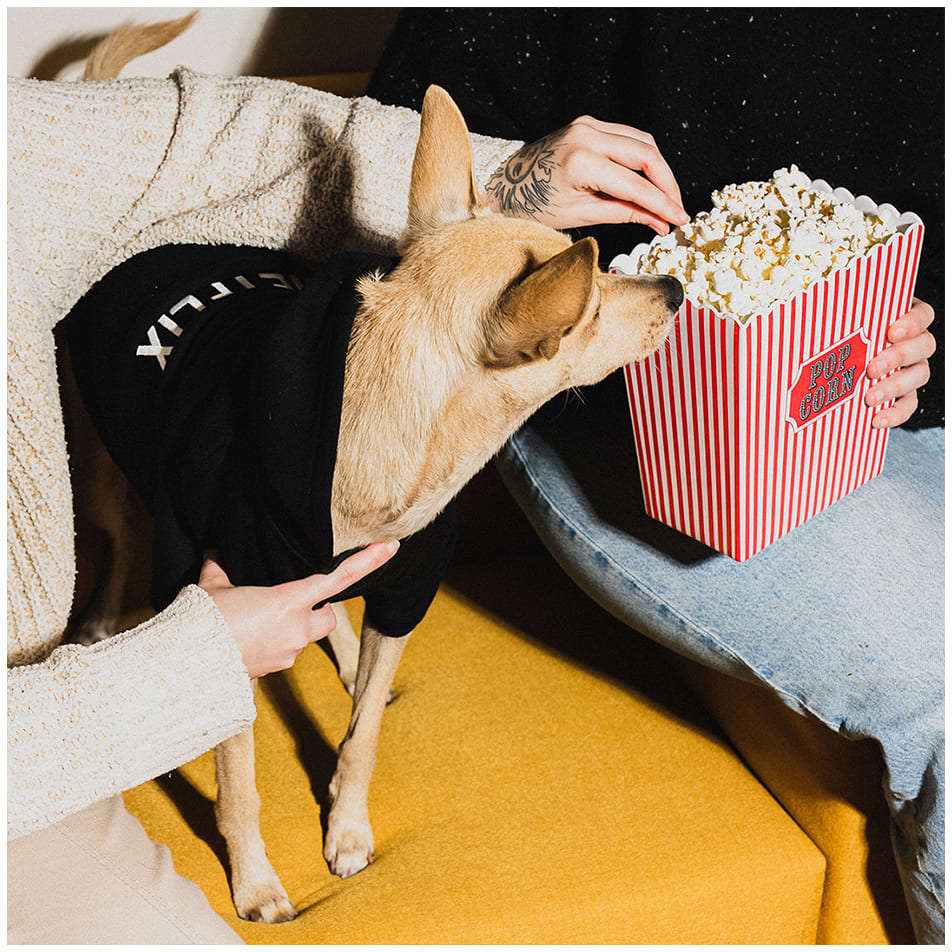 Moletom Future Pet Netflix Preto para Cães - Tam. P
