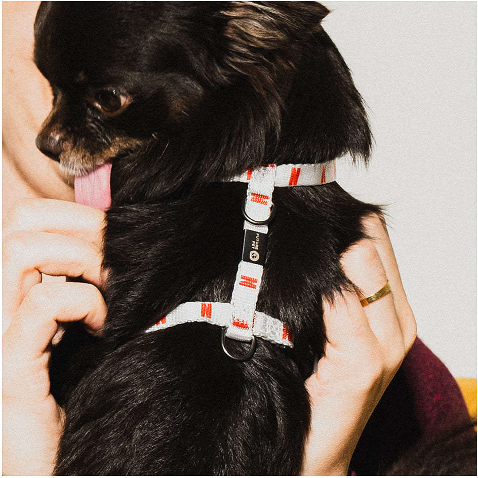 Peitoral H Future Pet Netflix Branca para Cães - Tam. G