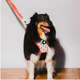 Peitoral Mesh Future Pet Neflix Branca para Cães
