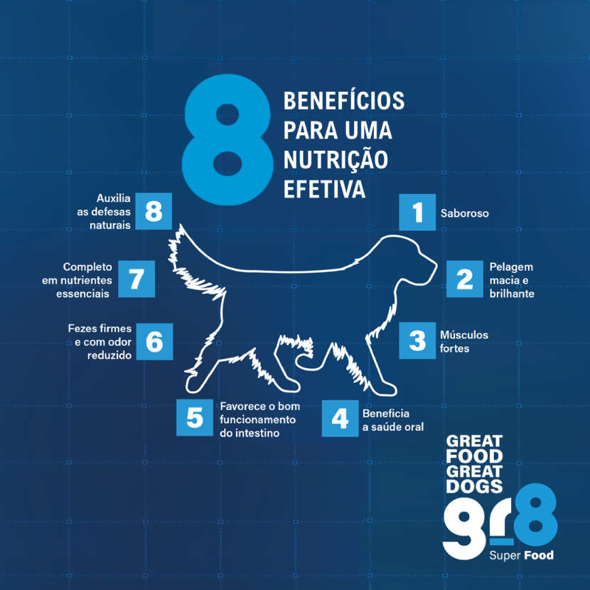 Ração Seca Gr8 Proline Frango para Cães Adultos - 15Kg