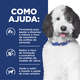 Ração Seca Hill's Prescription Diet c/d Multicare Cuidado Urinário para Cães Adultos