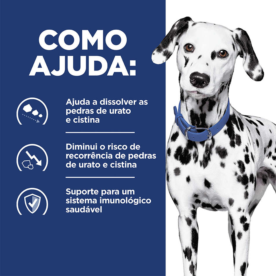 Ração Seca Hill's Prescription Diet u/d Cuidado Urinário para Cães Adultos 3,8Kg - 3,8Kg