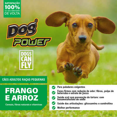 Ração Seca Dog Power Dogs Can Fly Frango e Arroz para Cães Adultos Raças Pequenas