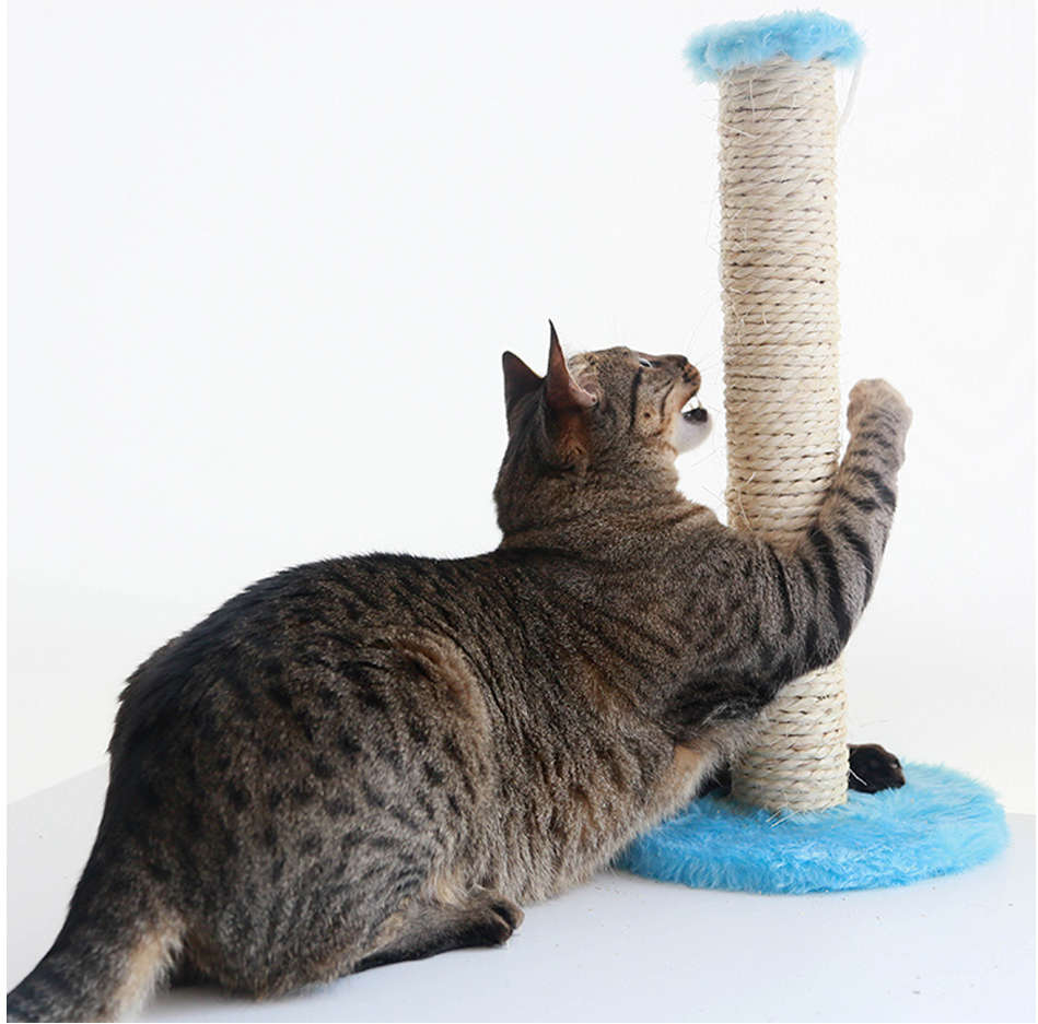 Brinquedo Arranhador Sisal Pelúcia Azul - Tam. M
