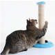 Brinquedo Arranhador Sisal Pelúcia Azul