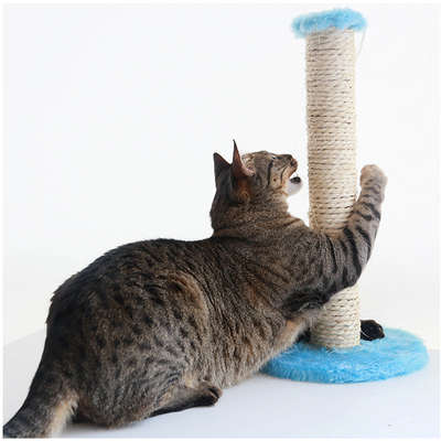 Brinquedo Arranhador Sisal Pelúcia Azul