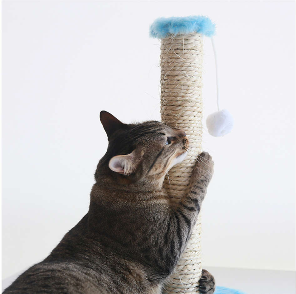 Brinquedo Arranhador Sisal Pelúcia Azul - Tam. M