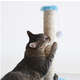 Brinquedo Arranhador Sisal Pelúcia Azul