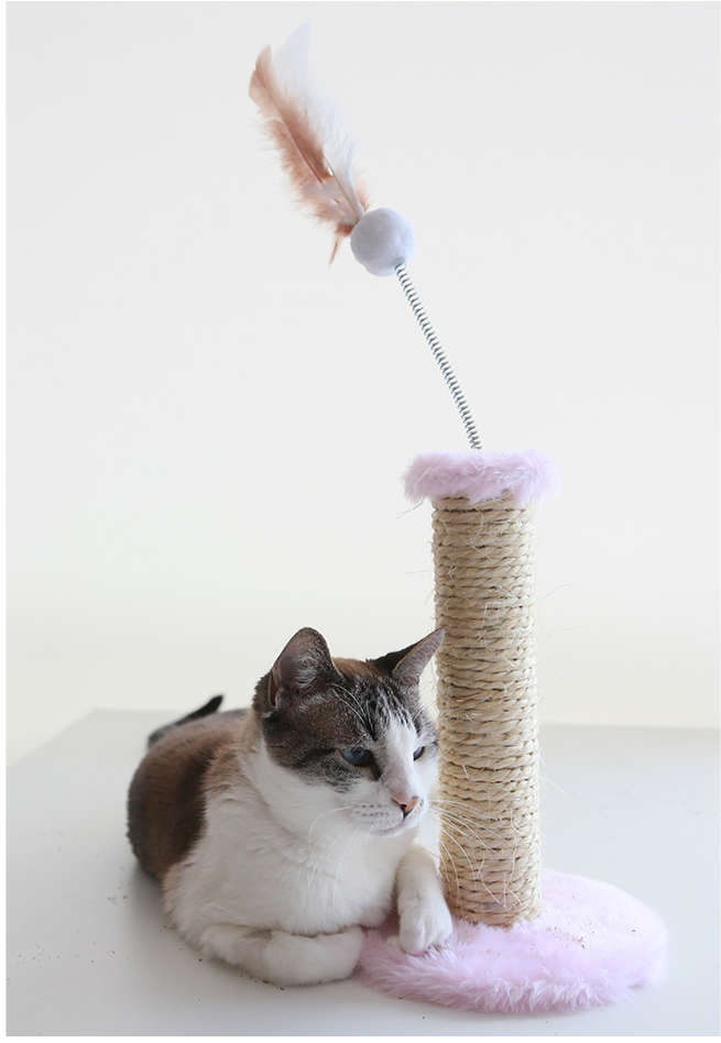 Brinquedo Arranhador Sisal Pelúcia com Mola Rose - Tam. P