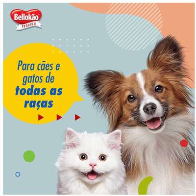 Shampoo Bellokão Ecológico Erva Sta. Maria - 500 mL