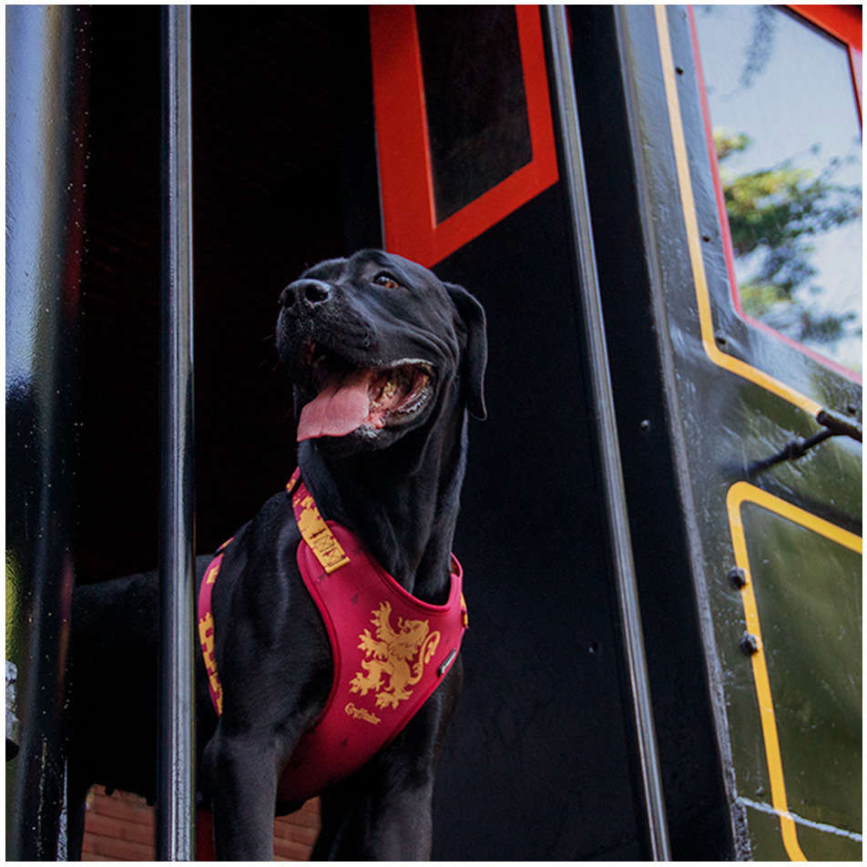 Peitoral FreeFaro Air Harry Potter Grifinória - Tam. P