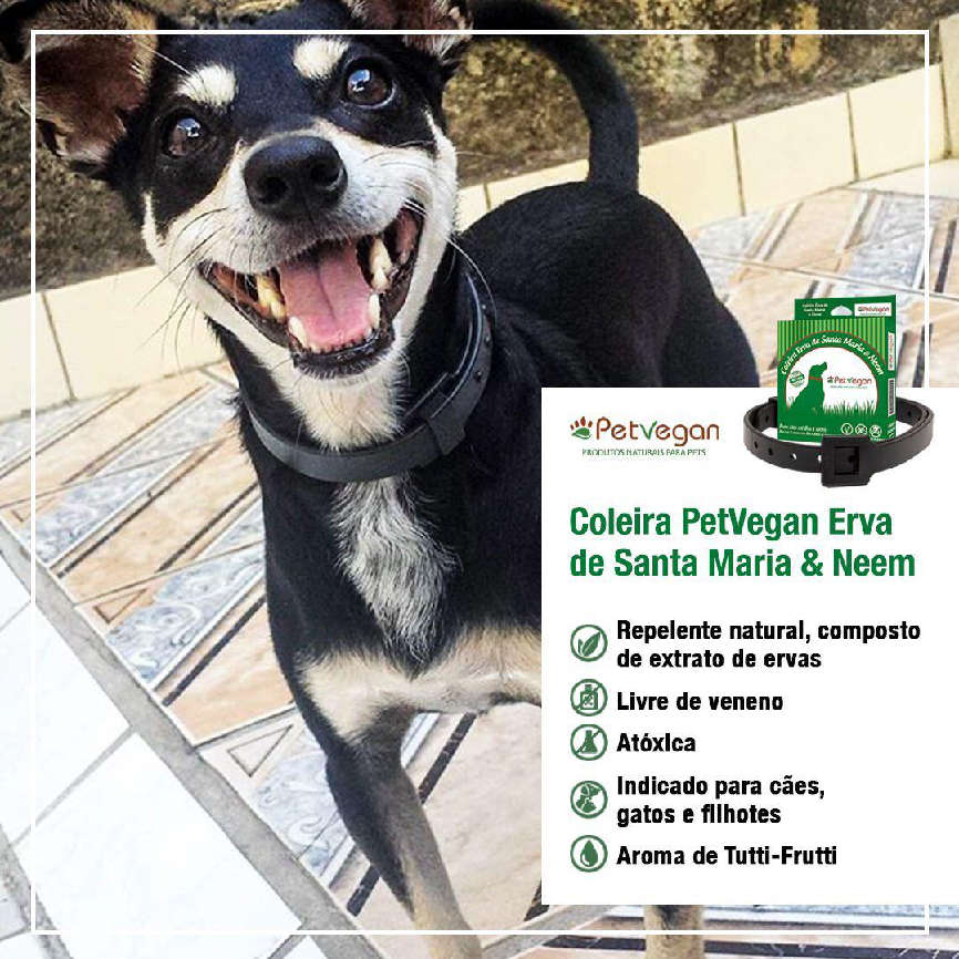 Coleira PetVegan para Cães de 8 a 15Kg - 58 cm
